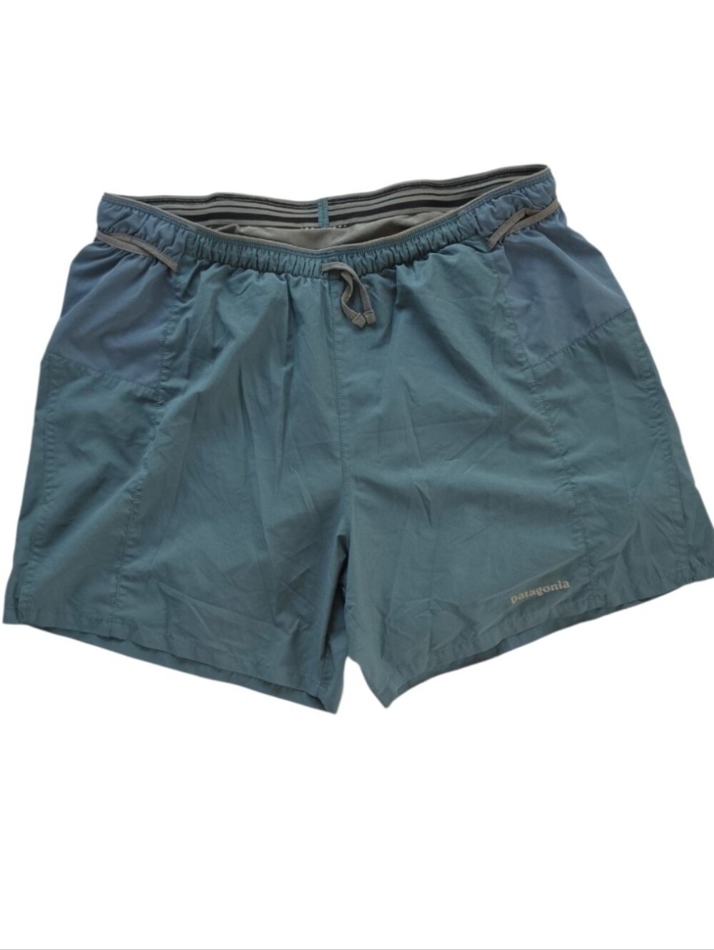 Patagonia Teal Athletic Shorts
